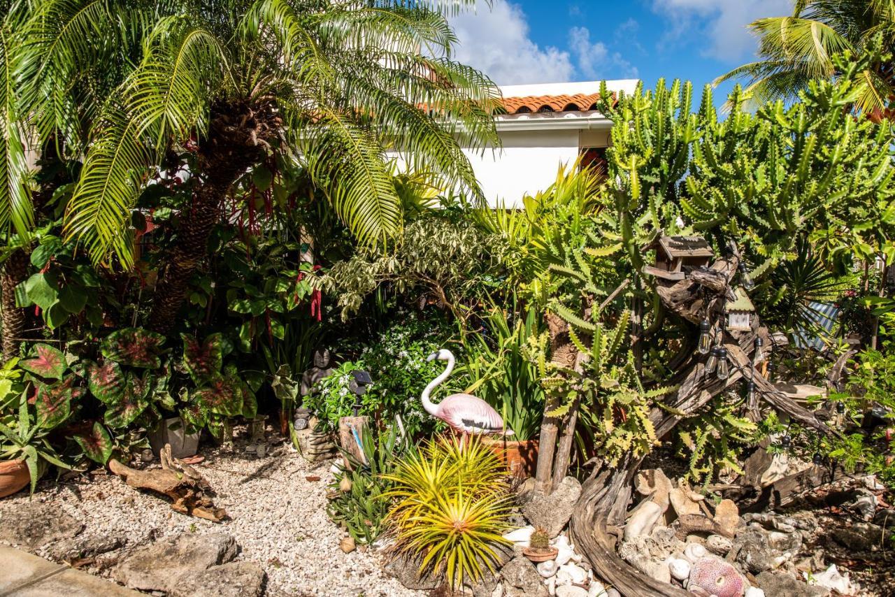 Hamlet Oasis Resort Playa Extérieur photo