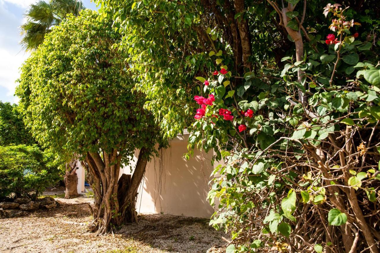 Hamlet Oasis Resort Playa Extérieur photo