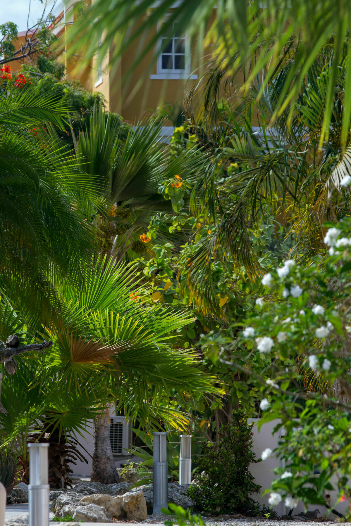 Hamlet Oasis Resort Playa Extérieur photo